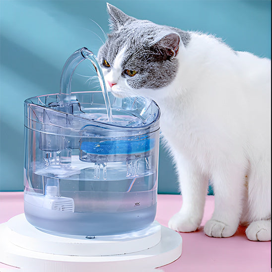 fontaine-eau-chat-style
