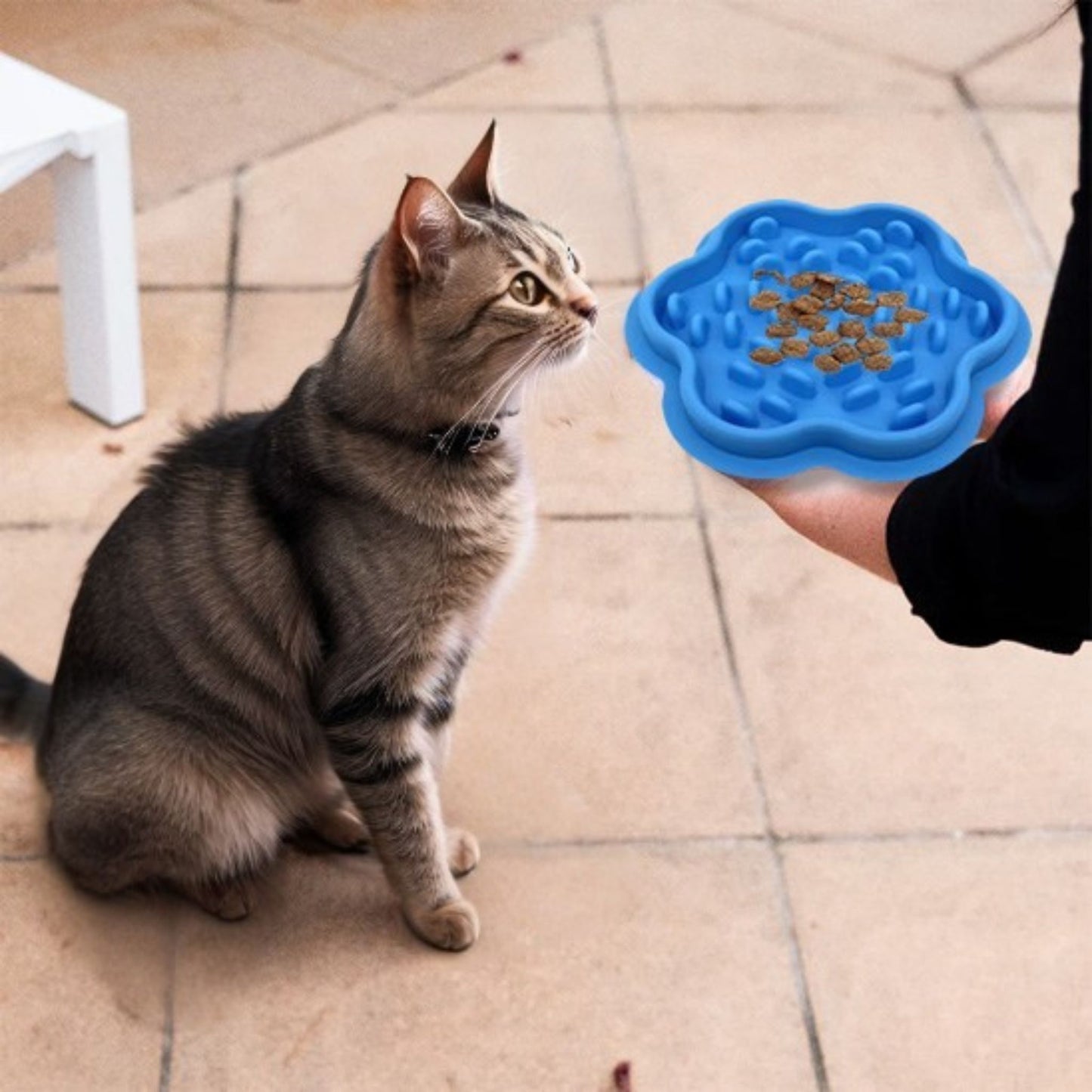 gamelle-anti-glouton-chat-bleu-miam