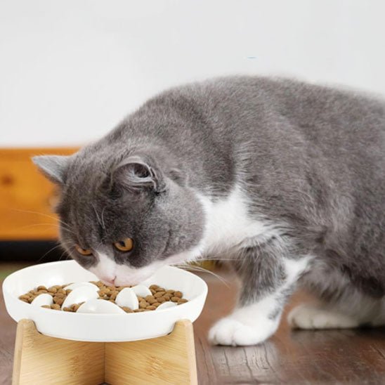 gamelle anti glouton chat céramique et bois - Happy minet