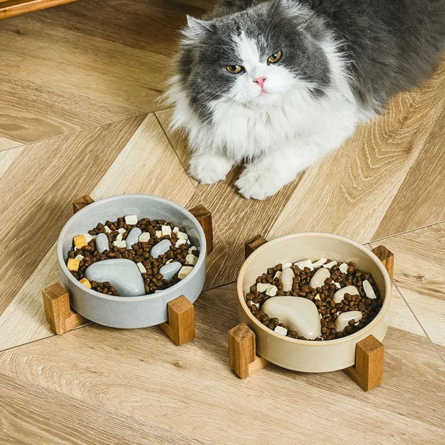 gamelle anti-glouton chat gourmande