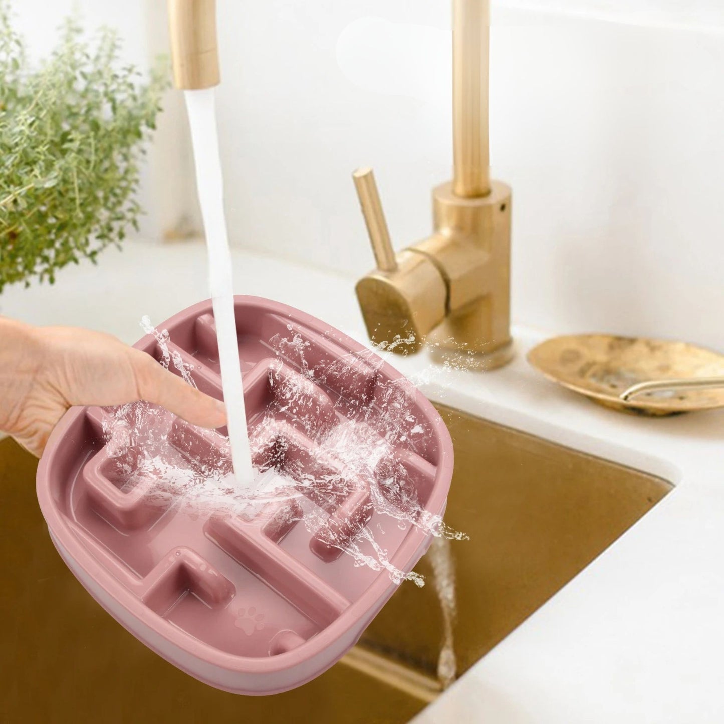 gamelle-anti-glouton-chat-lavable