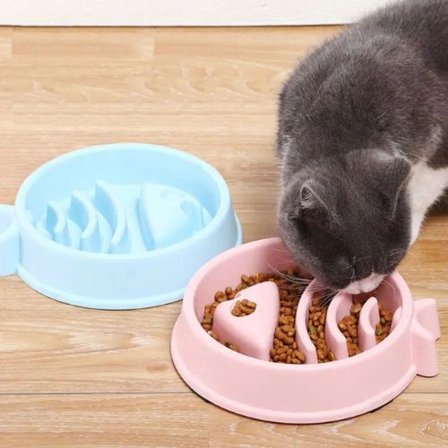 gamelle-anti-glouton-repas-lent