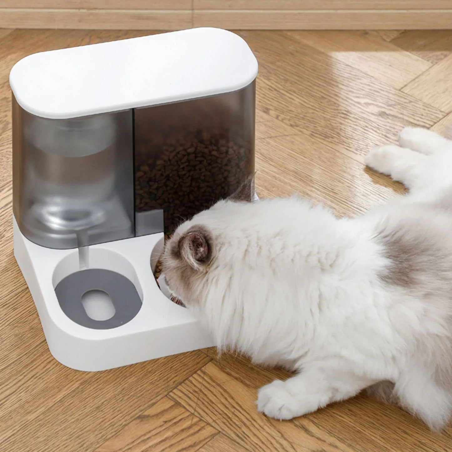 gamelle-automatique-chat-capacité