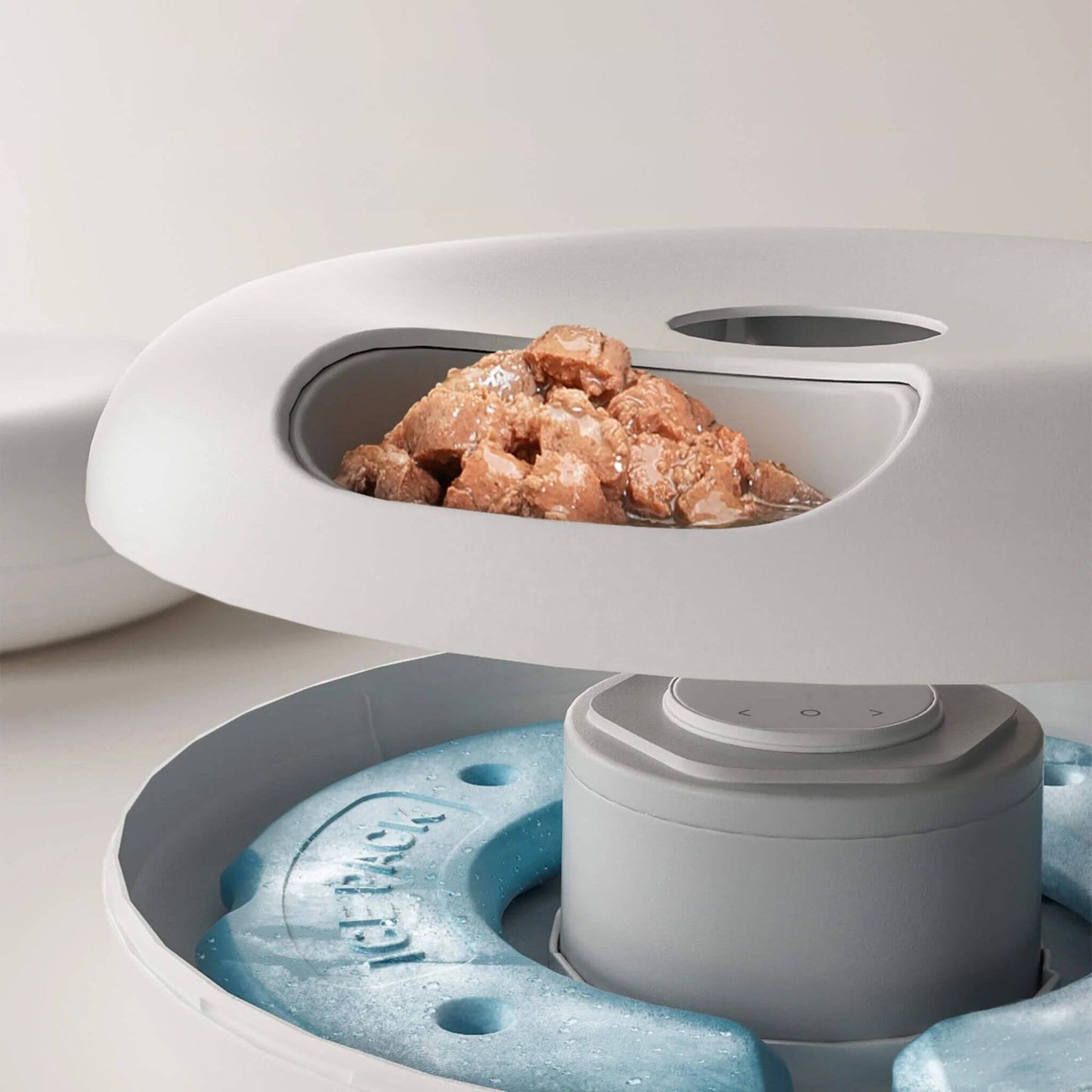 gamelle-automatique-chat-repas-frais