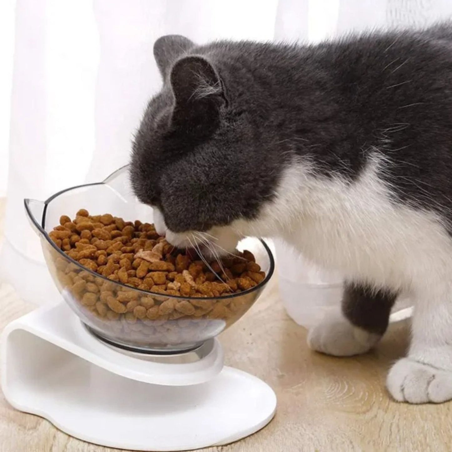 gamelle-chat-simple-transparent