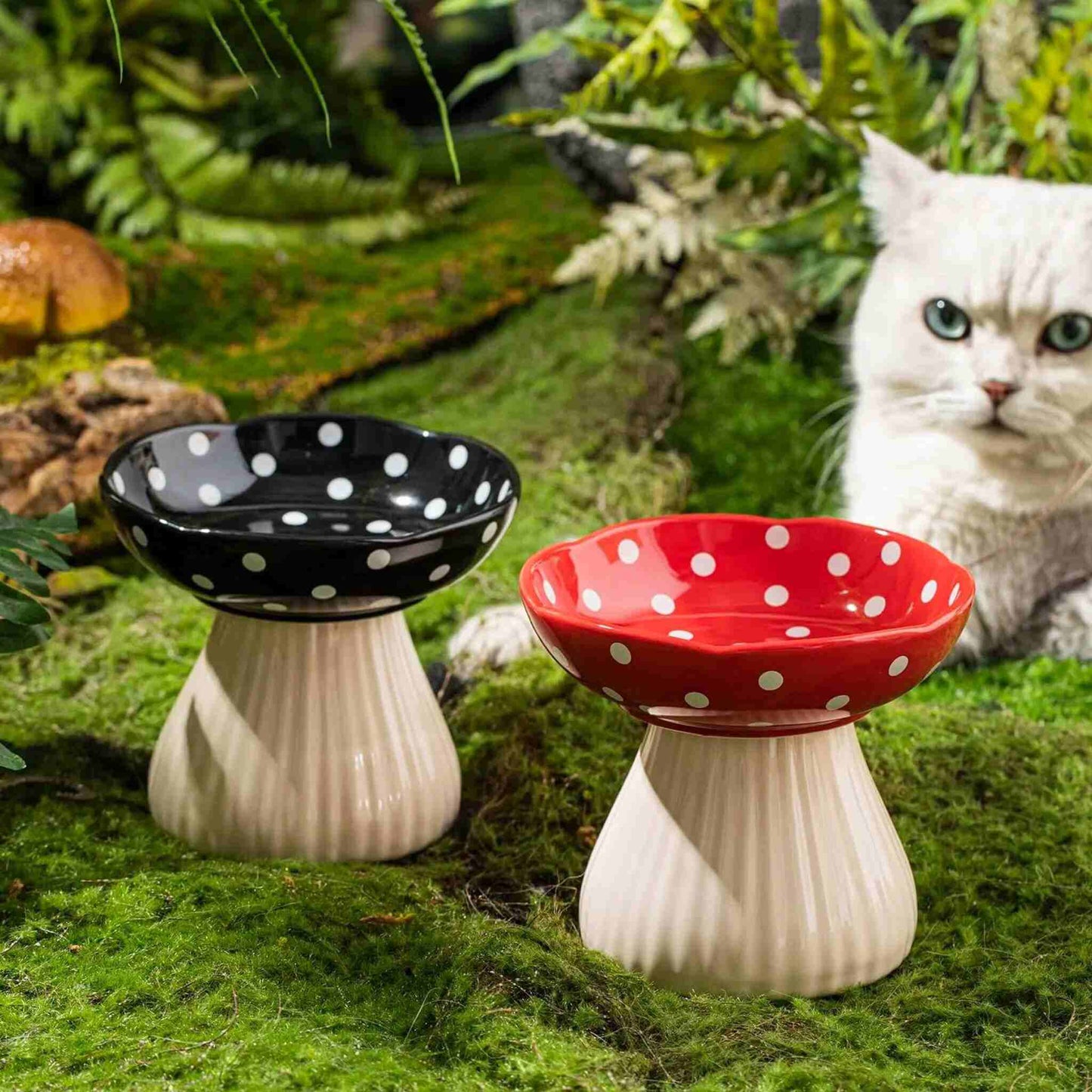 gamelle-chat-surélevée-champignon