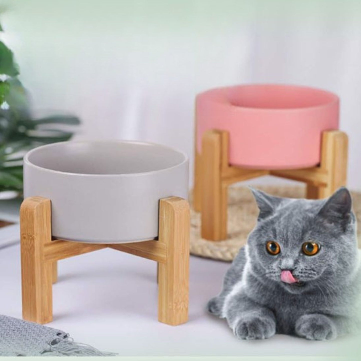 gamelle-chat-surélevée-chasavour