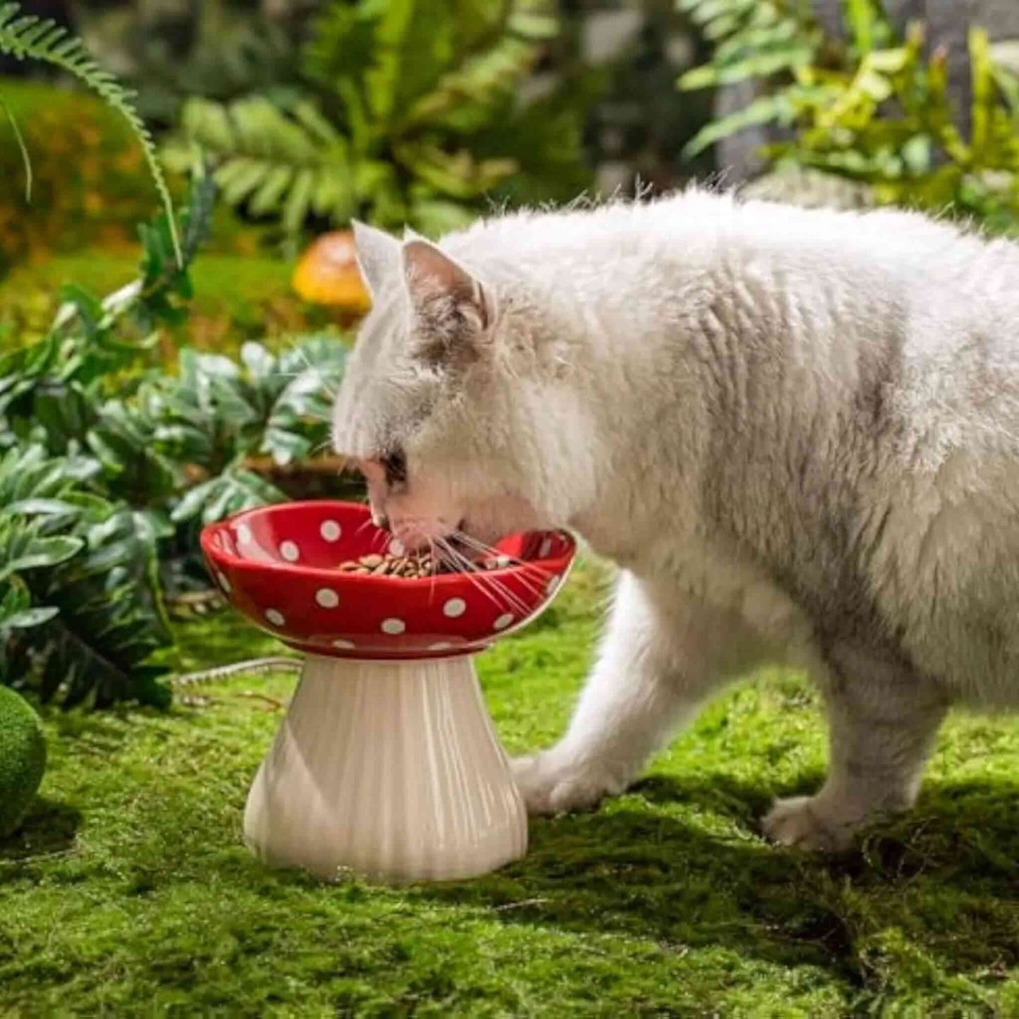 gamelle-chat-surélevée-haute-design