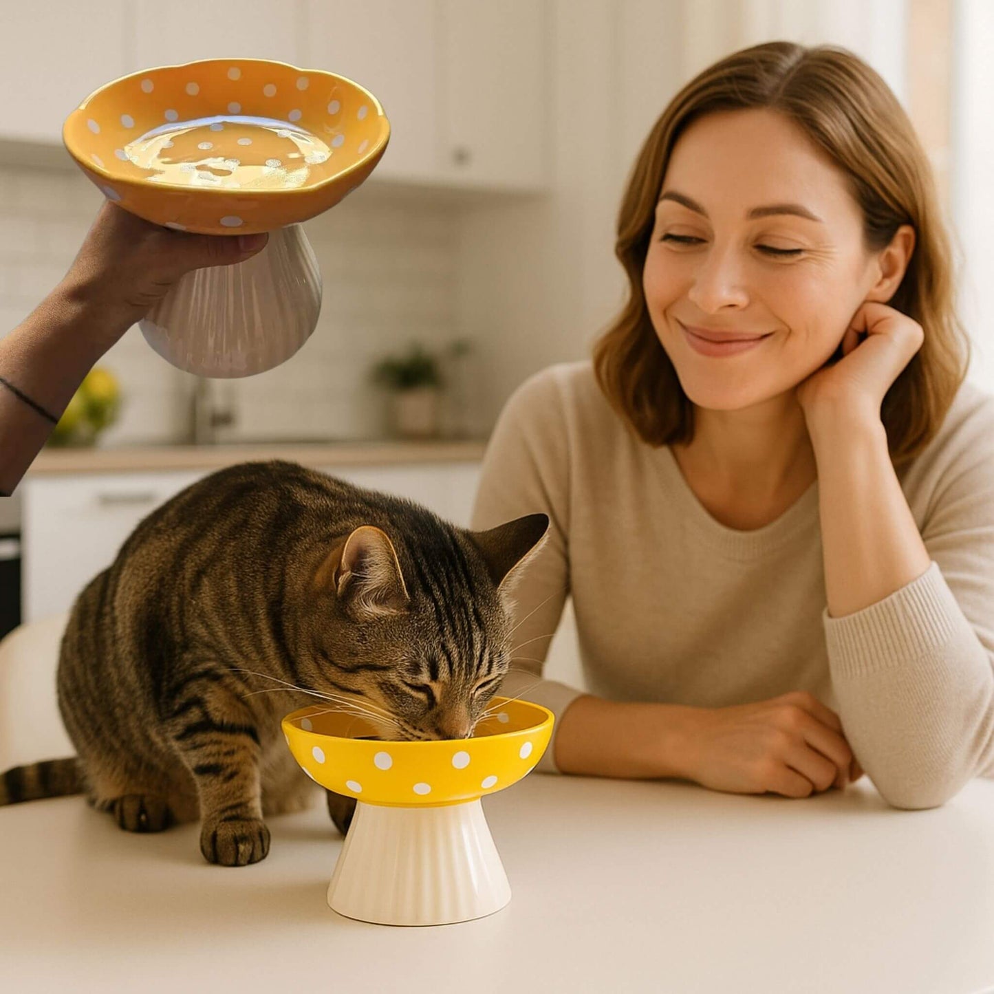 gamelle-chat-surélevée-jaune-champignon