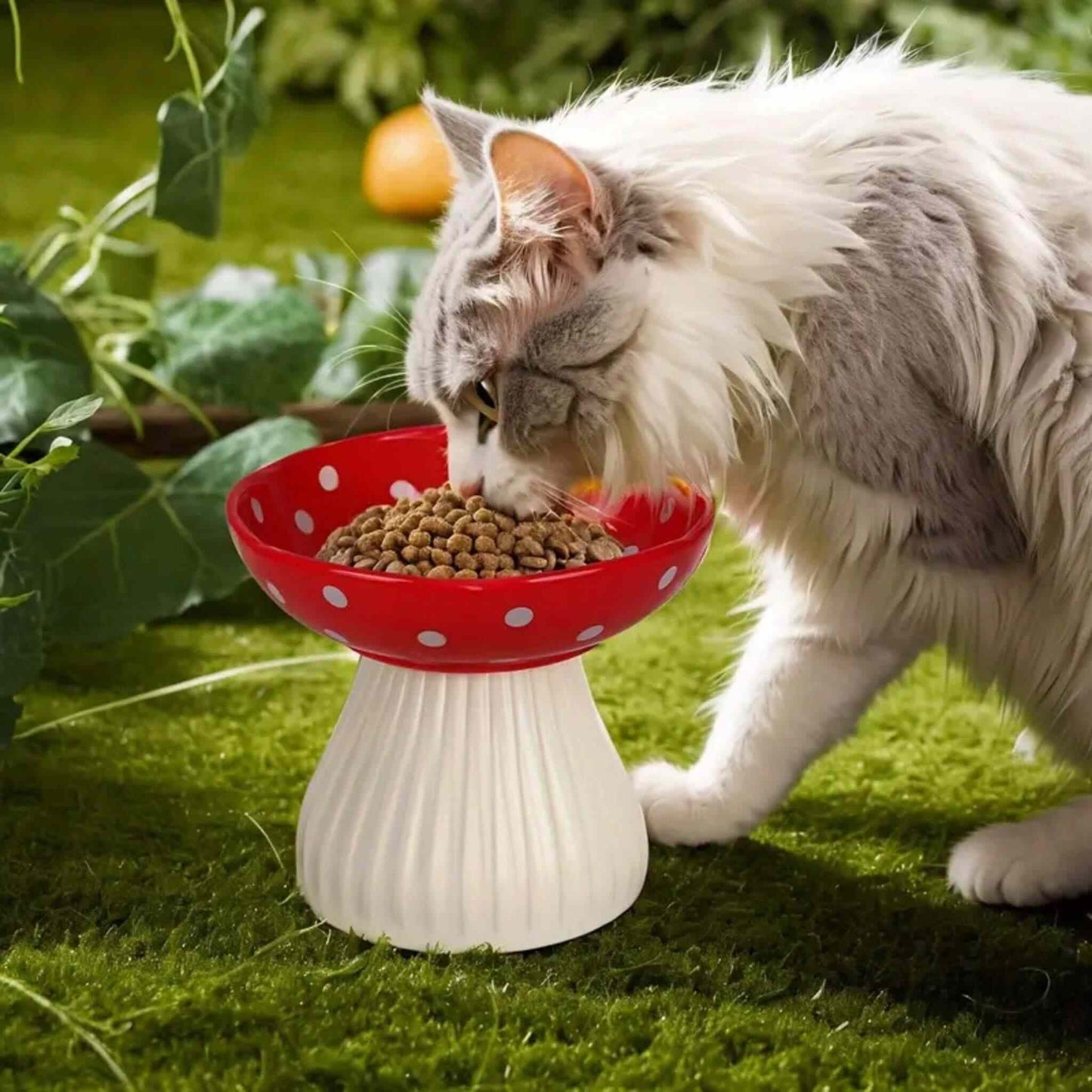 gamelle-chat-surélevée-solide-champignon