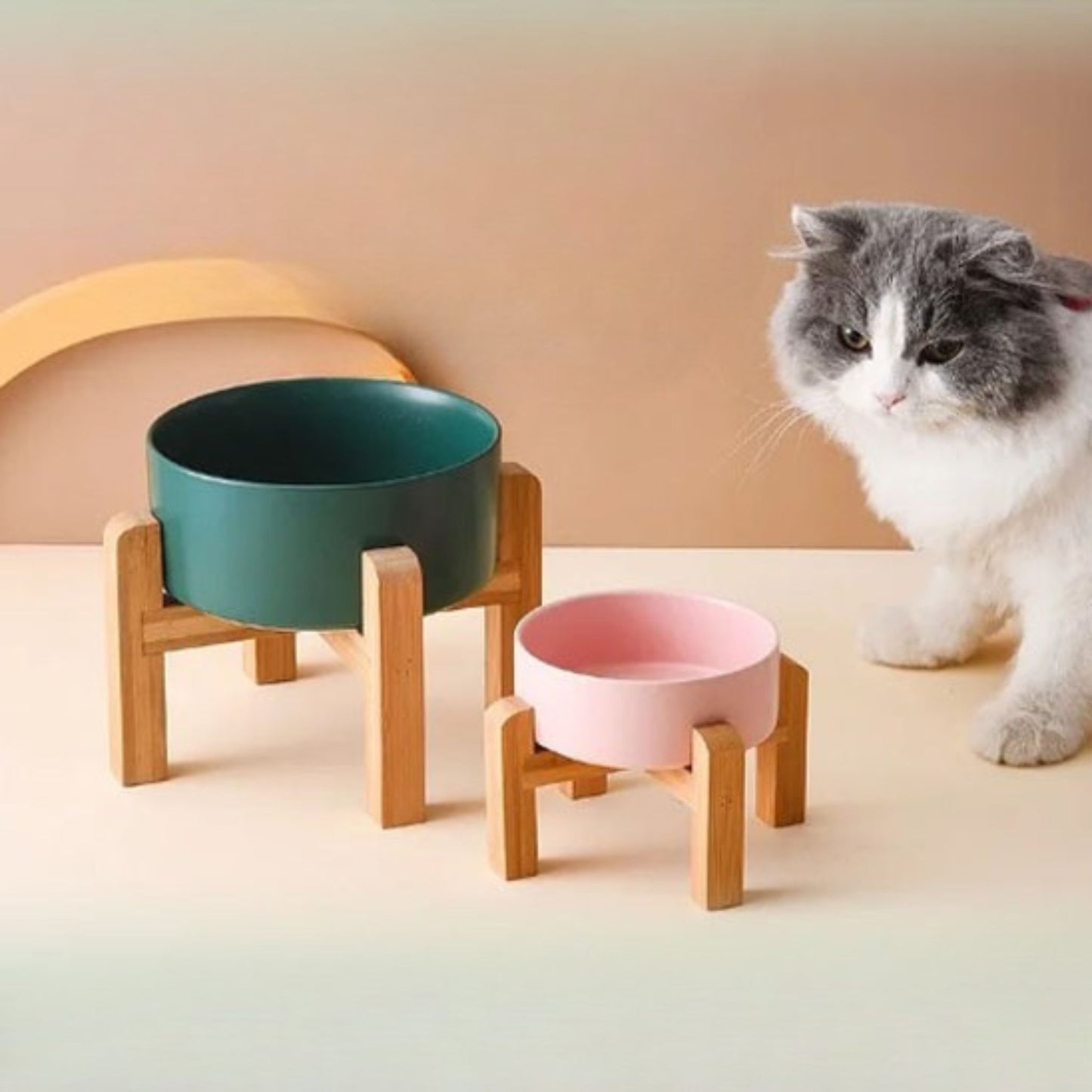 gamelle-chat-surélevée-solide