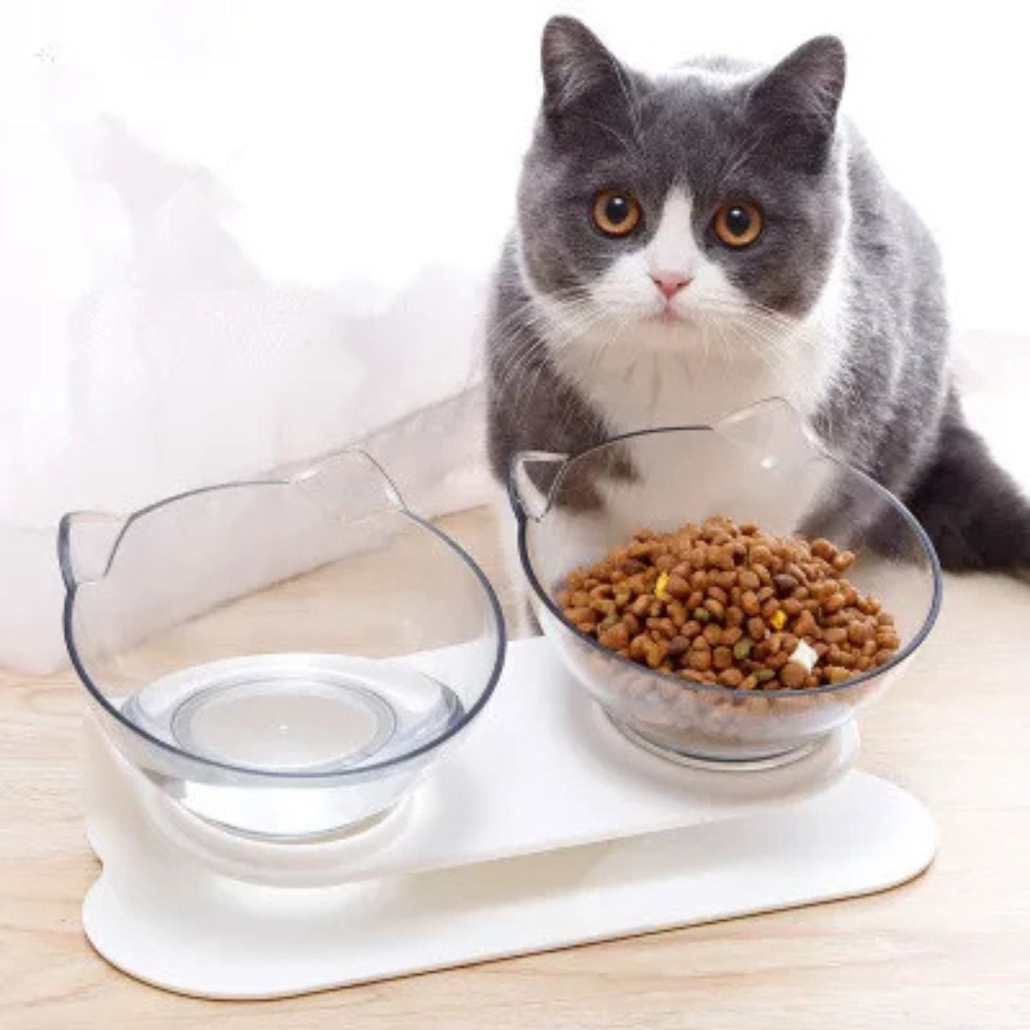gamelle-chat-surélevée-transparente