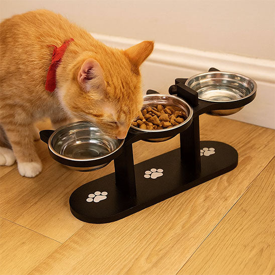 gamelle-pour-chat-position