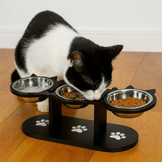 gamelle-pour-chat-surélevée-trio