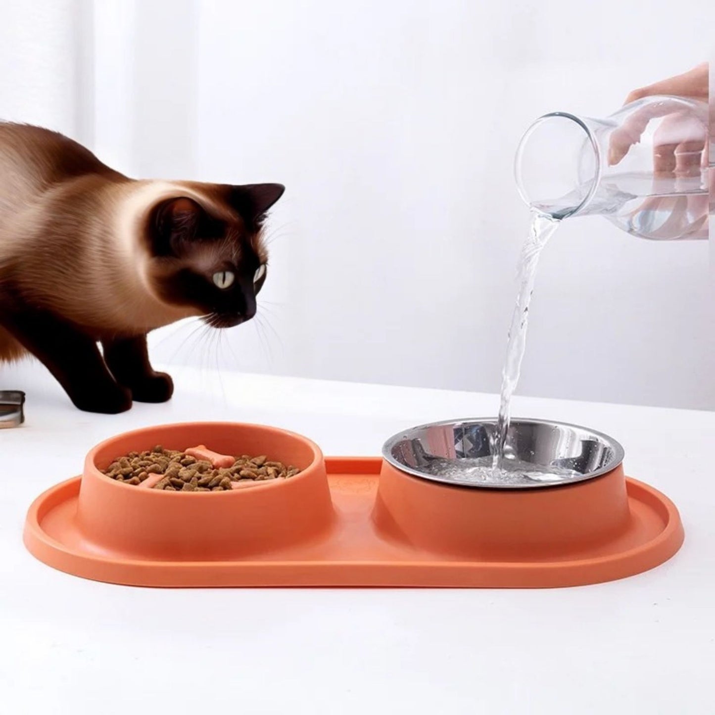 gamelles-anti-glouton-chat-orange