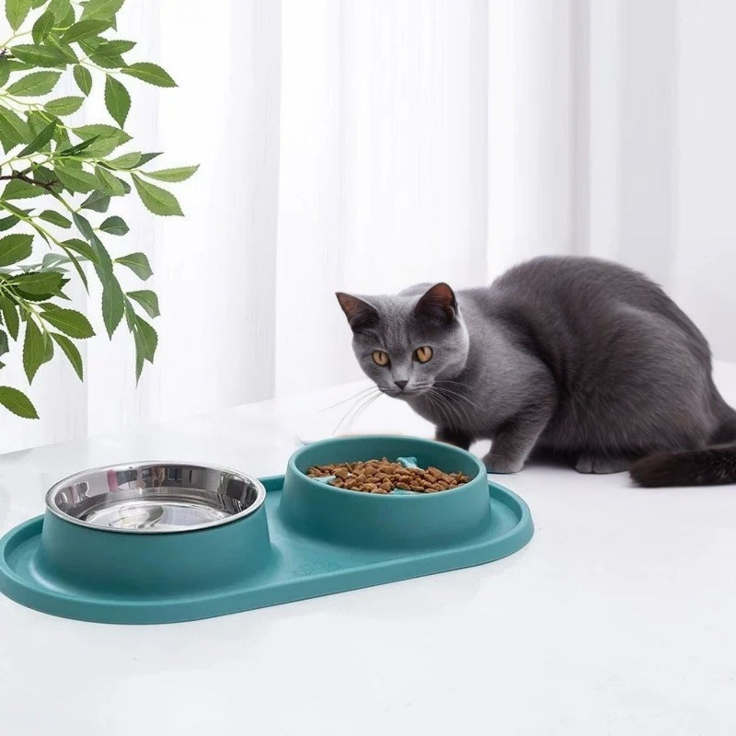 gamelles-anti-glouton-chat-vert