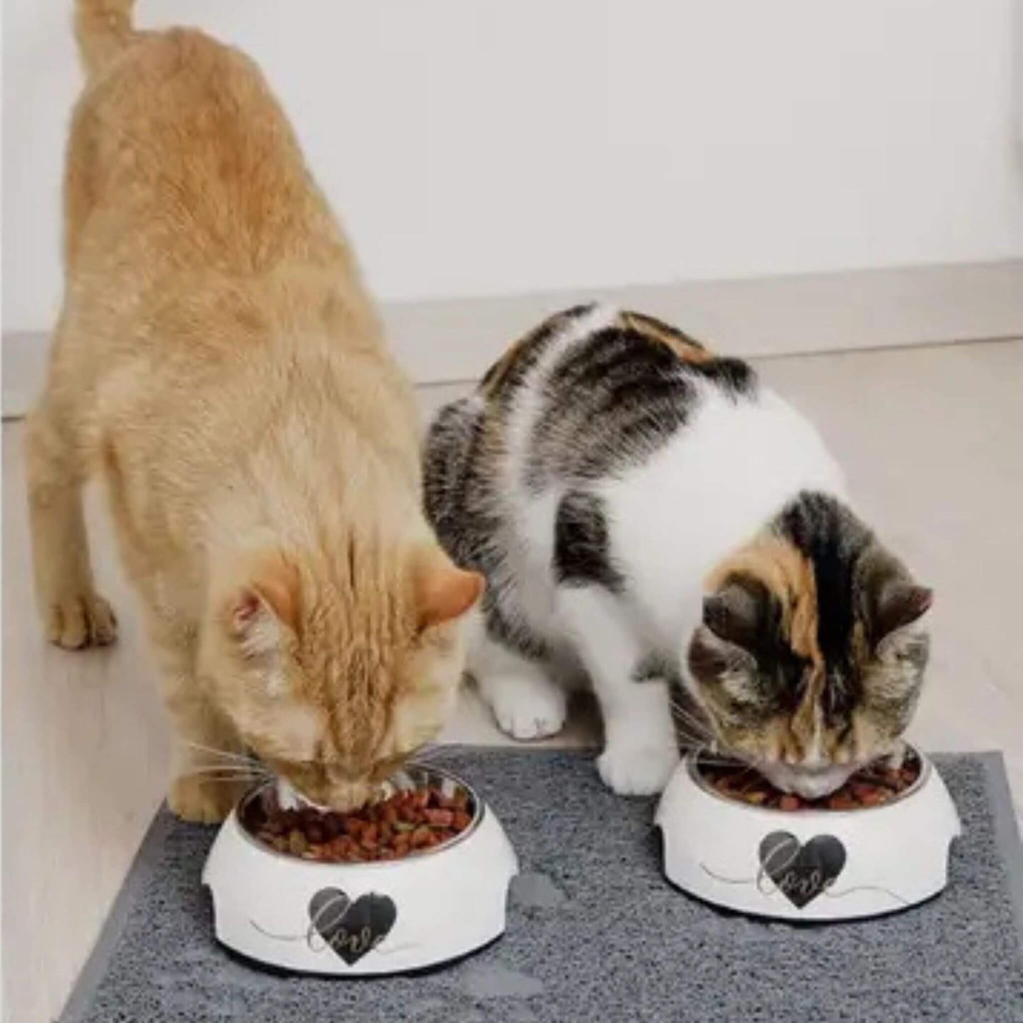 gamelles-chat-unique