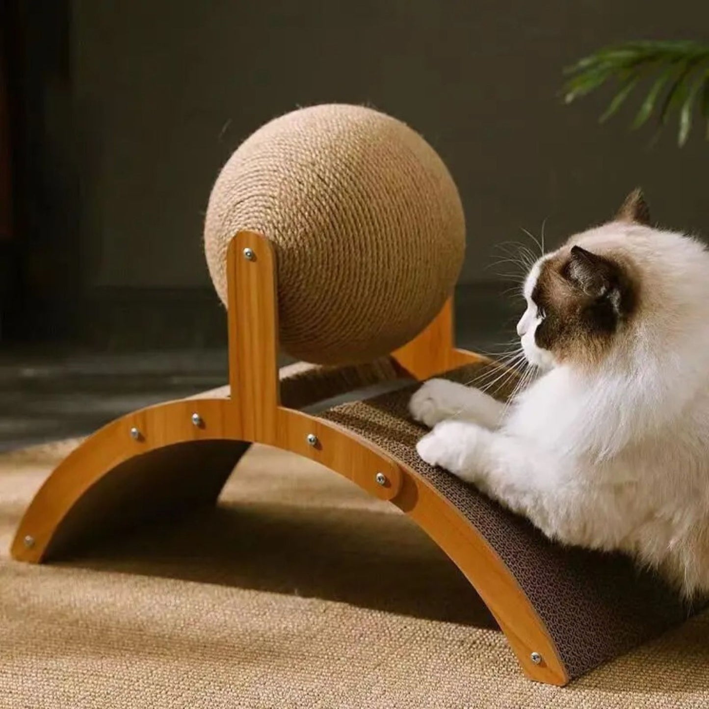 griffoir-carton-sisal