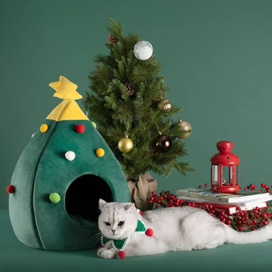 grotte chat | DODOSAPIN - Happy minet