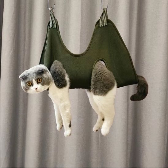 hamac à chat toilette sereine