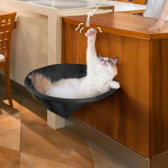 hamac-chat-idéal
