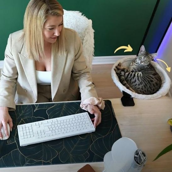 hamac-chat-rotatif