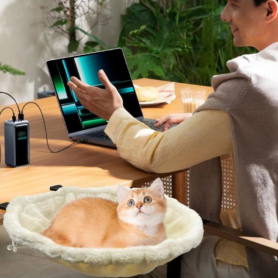 hamac-chat-tranquilité