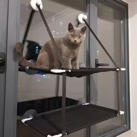 hamac-pour-chat-fenêtre-solide