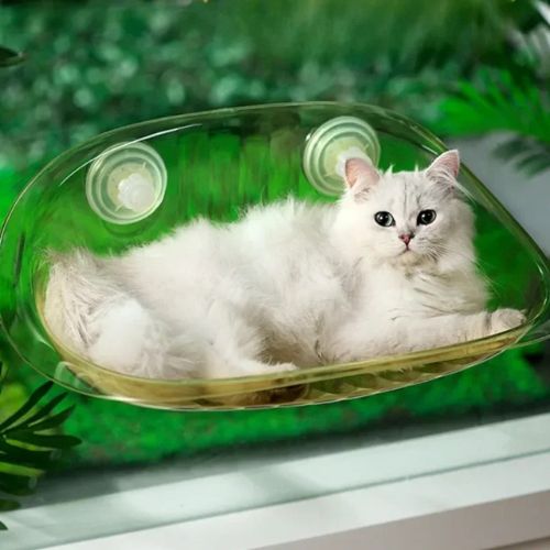 hamac pour chat fenetre transparent - Happy minet
