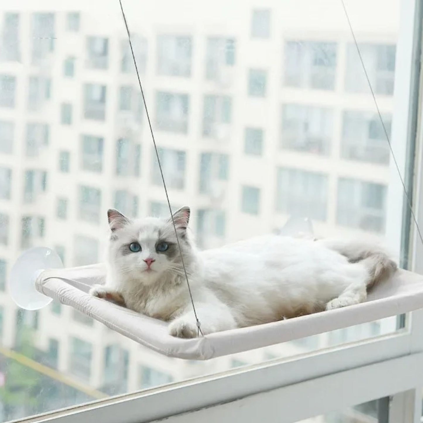 hamac-pour-chat-gris-agréable