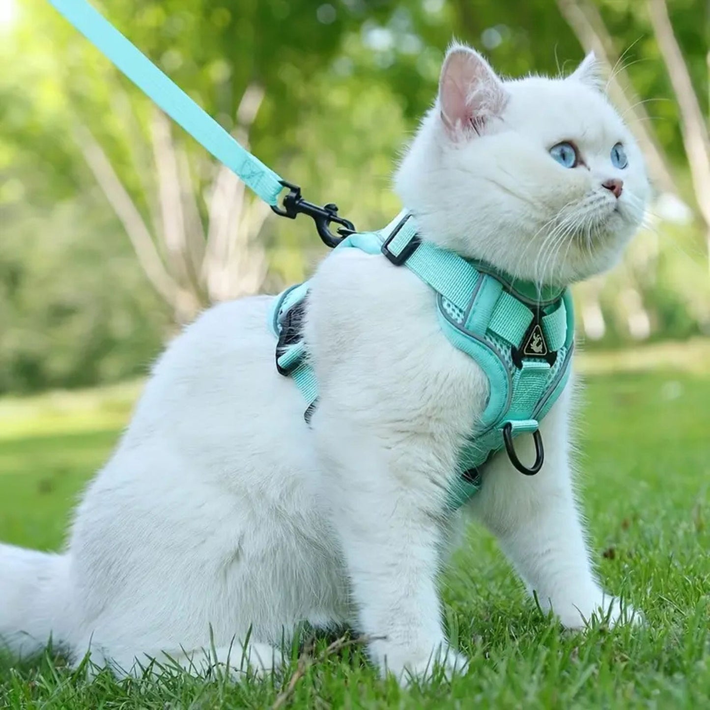 harnais-chat-anti-fugue-liberté-mouvement