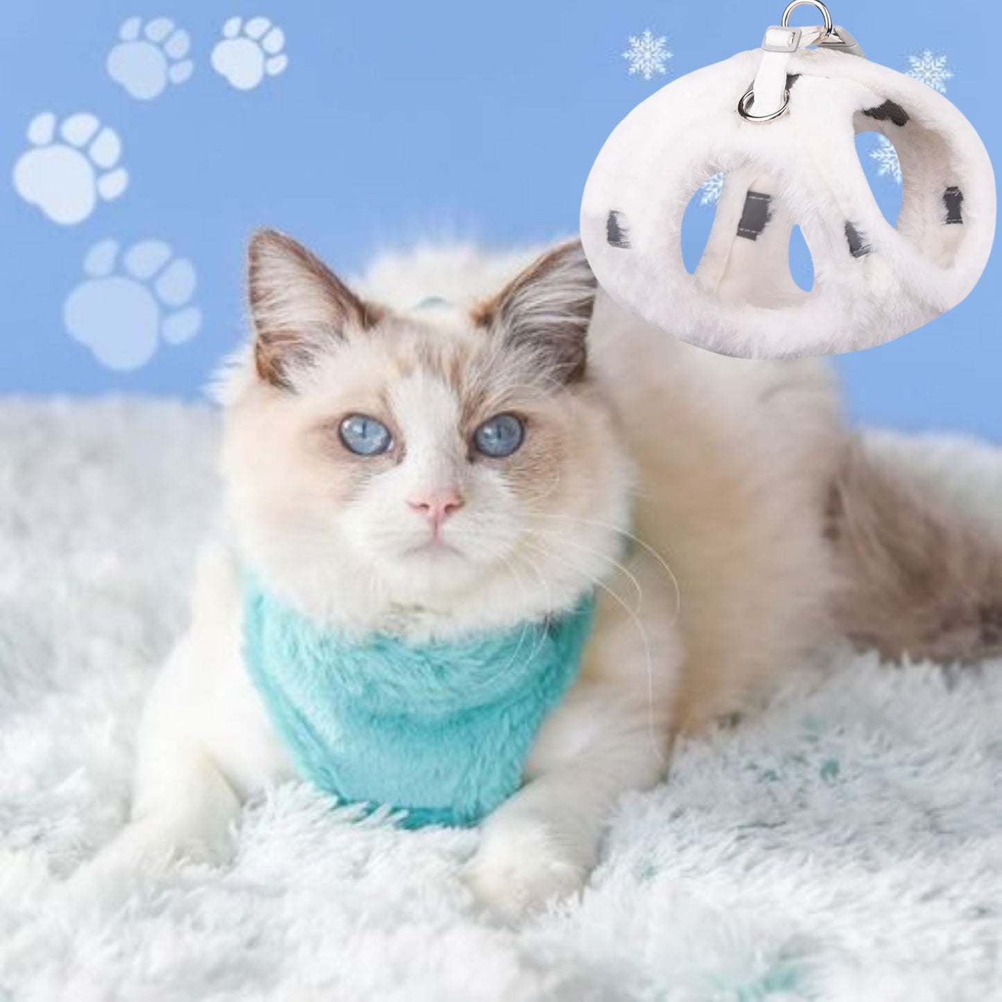 harnais-chat-blanc-hiver