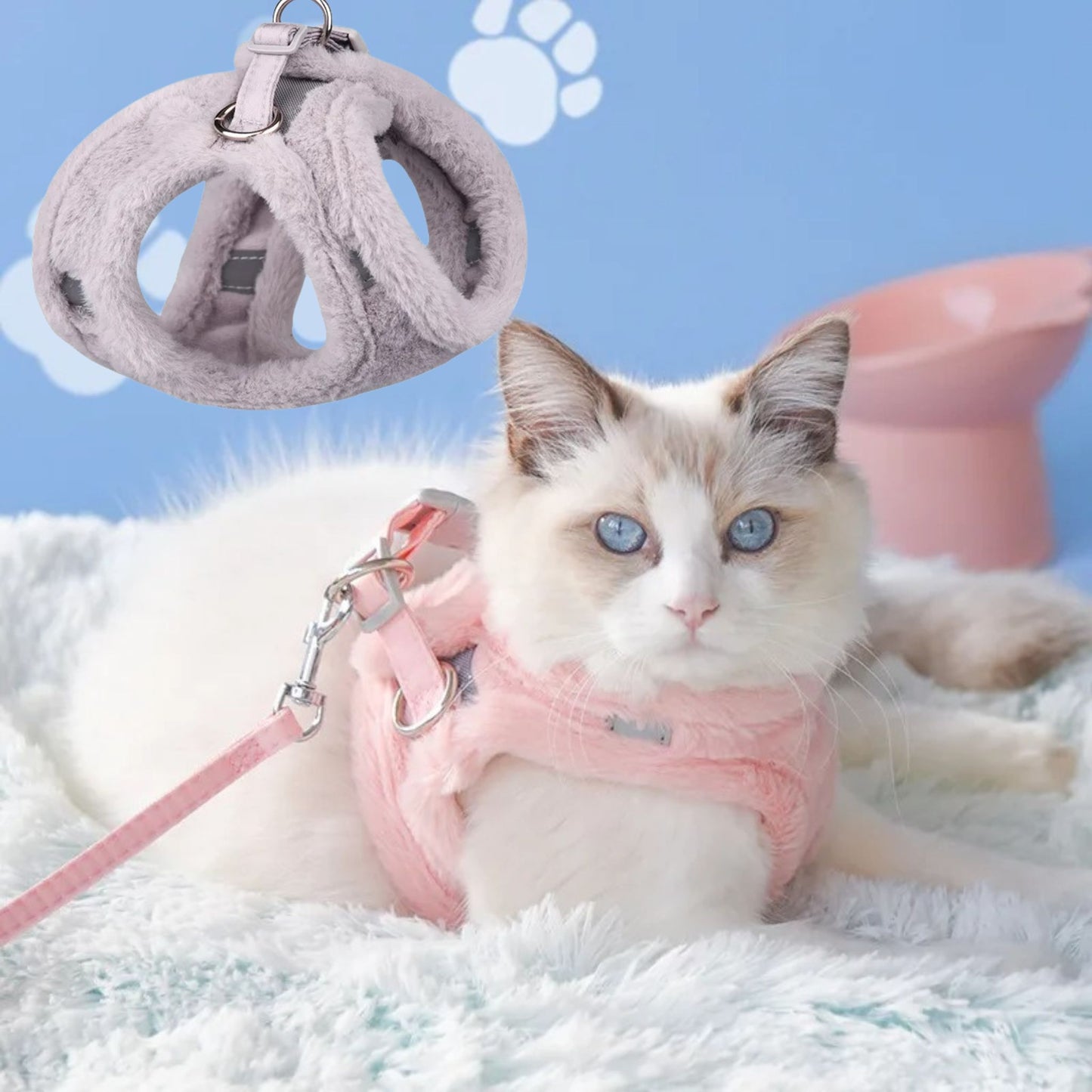 harnais-chat-gris-hiver