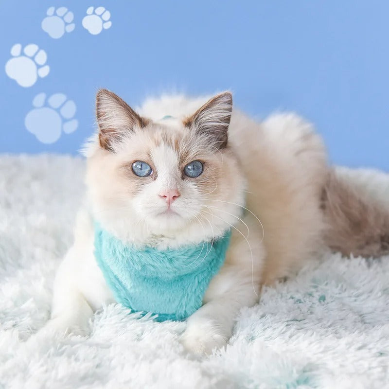 harnais-chat-hiver-doux-vert