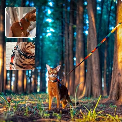 harnais chat multicolore - Happy minet