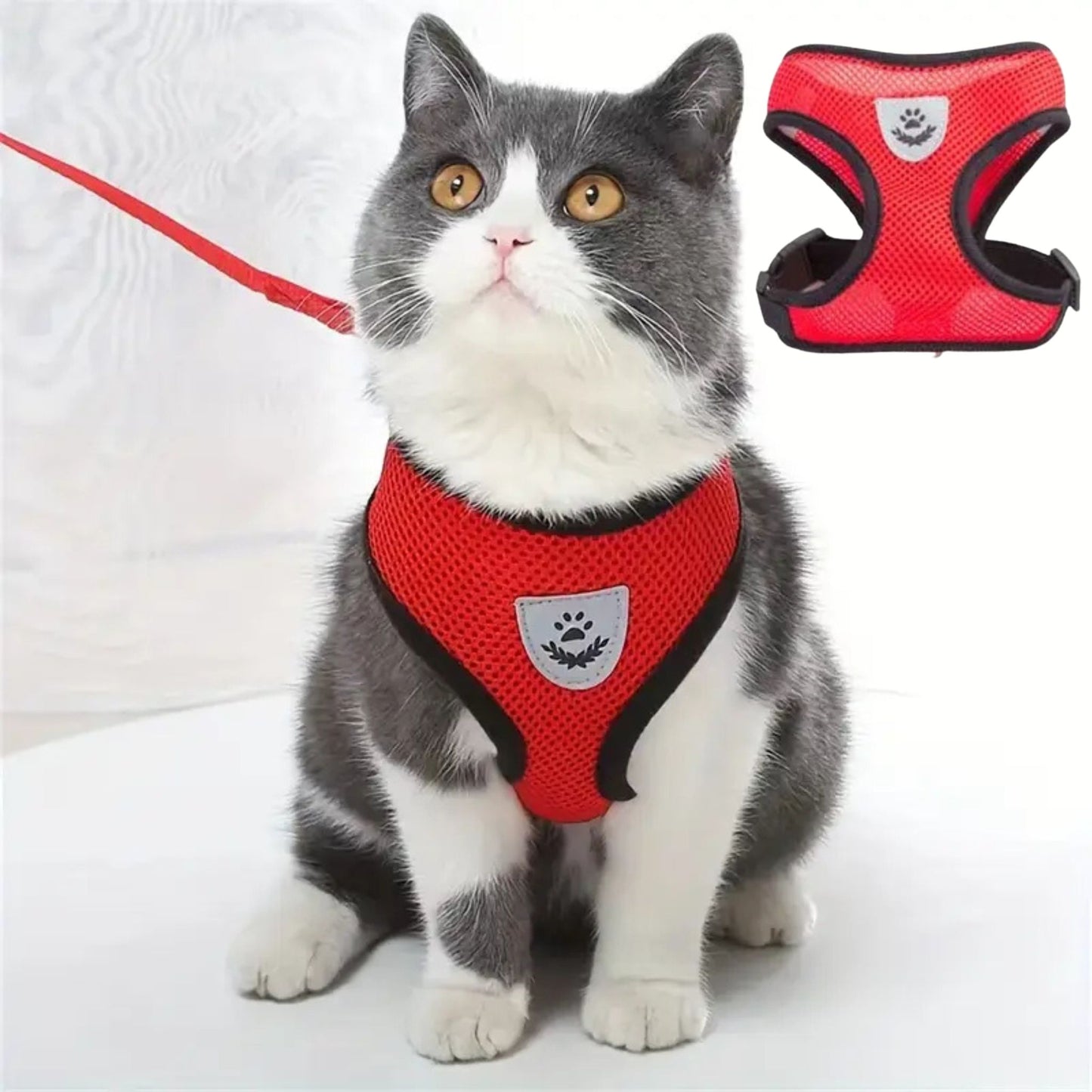 harnais chat| ELASTIC HARNESS