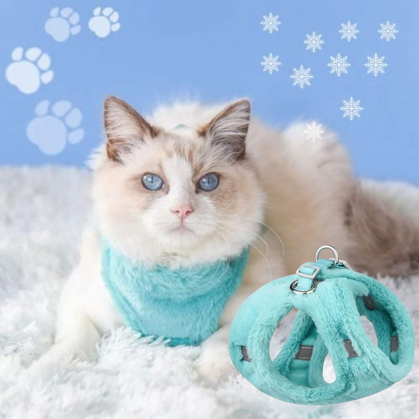 harnais-chat-vert-hiver