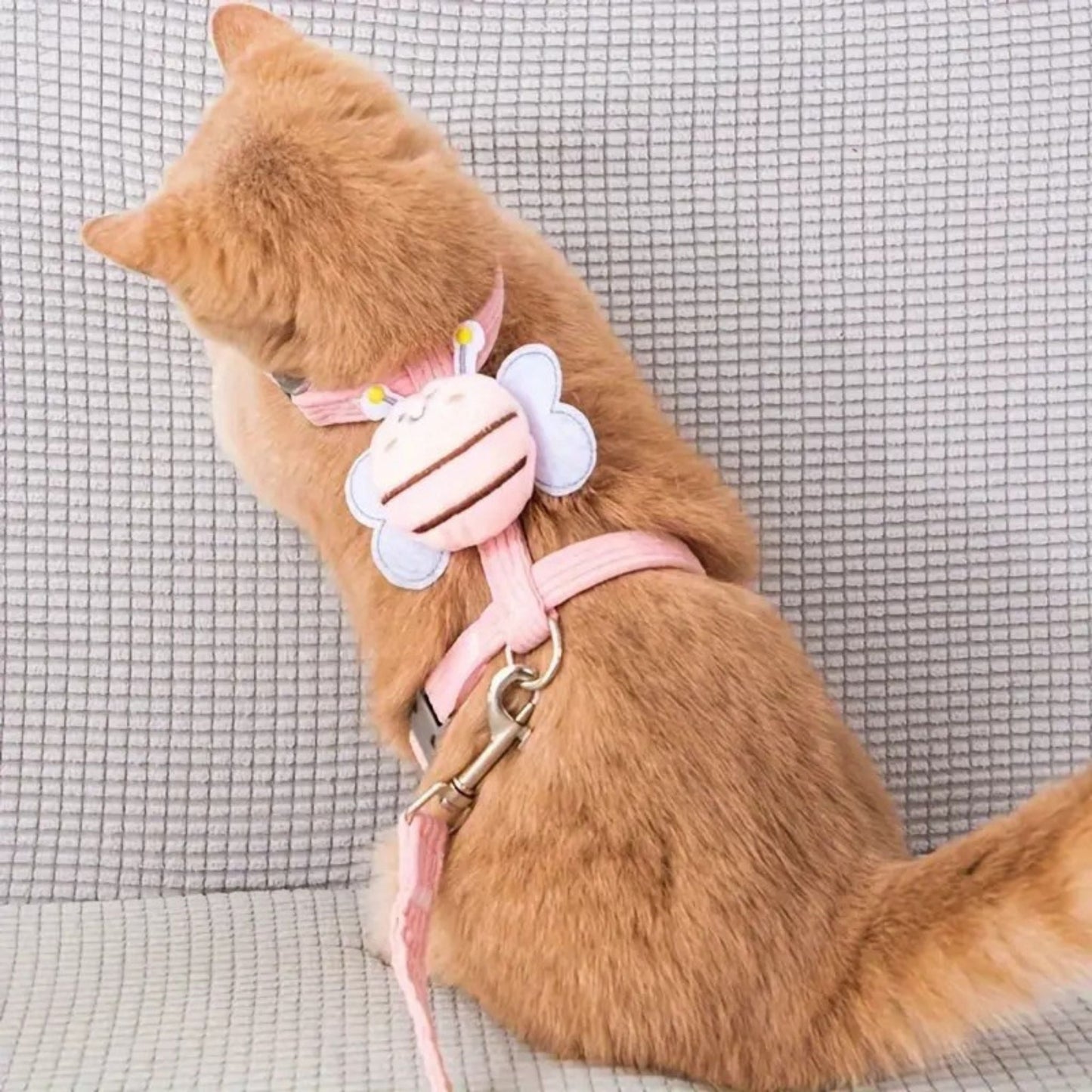 harnais-pour-chat-abeille-rose