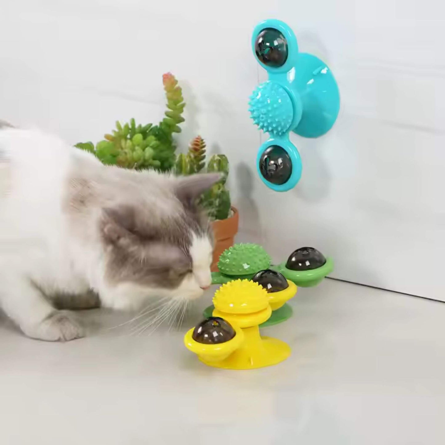 jeu-interactif-chat-couleurs-vives