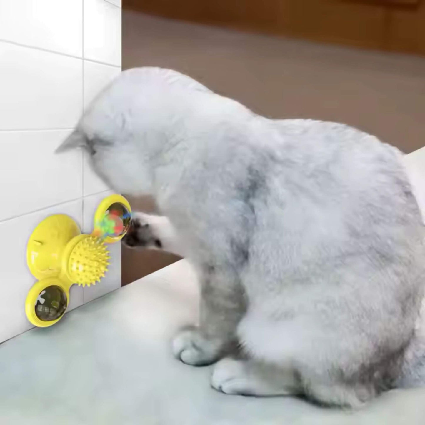 jeu-interactif-chat-intelligent