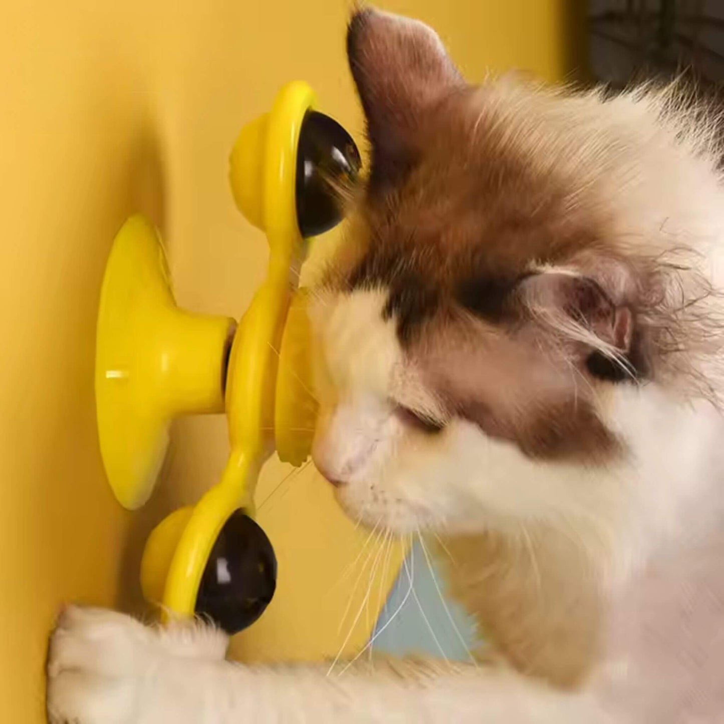 jeu-interactif-chat-jaune