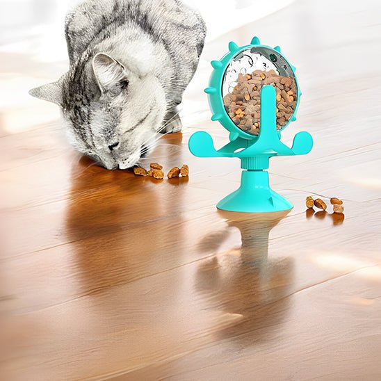 jeu-interactif-chat-joucroc-bleu