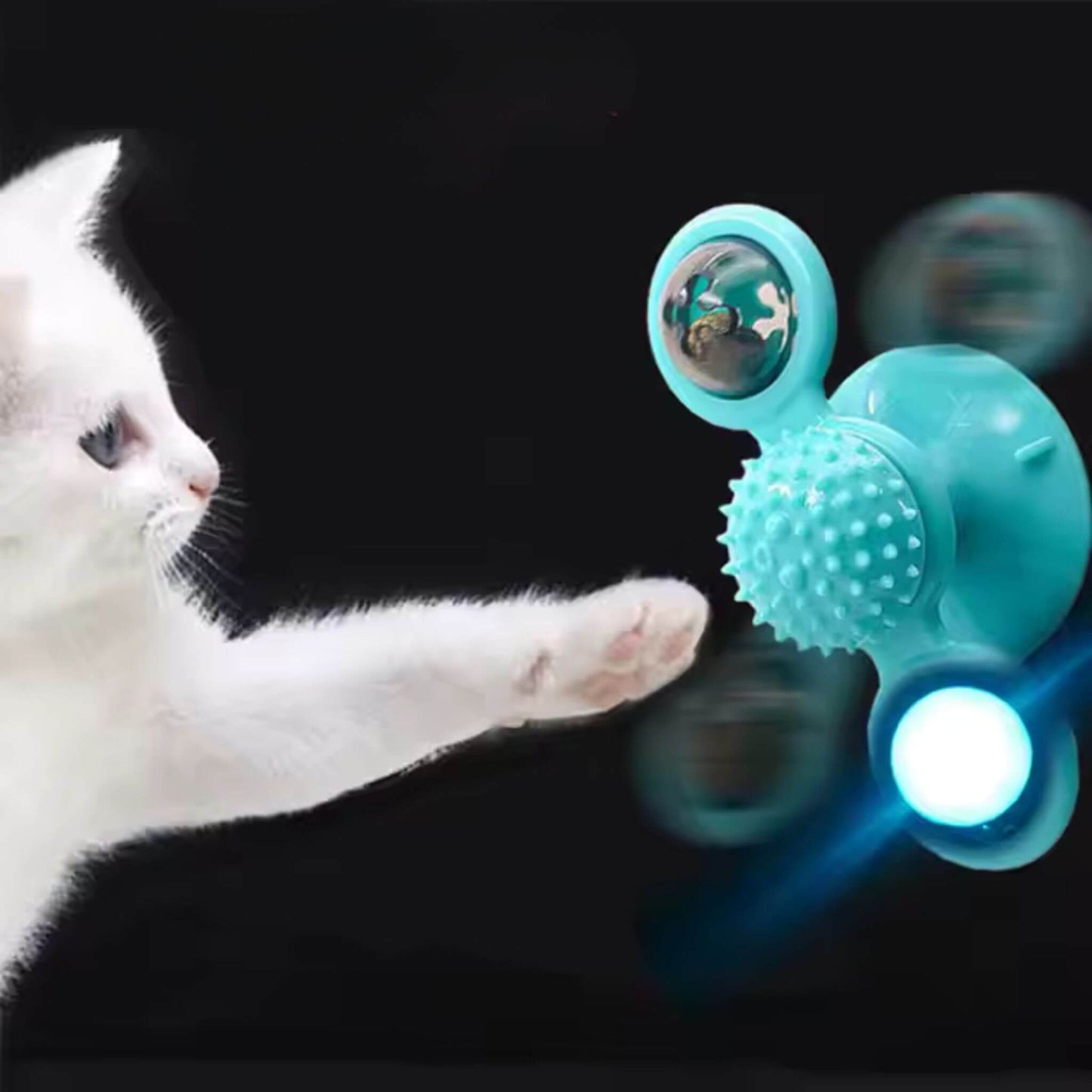 jeu interactif chat | Tourniquet