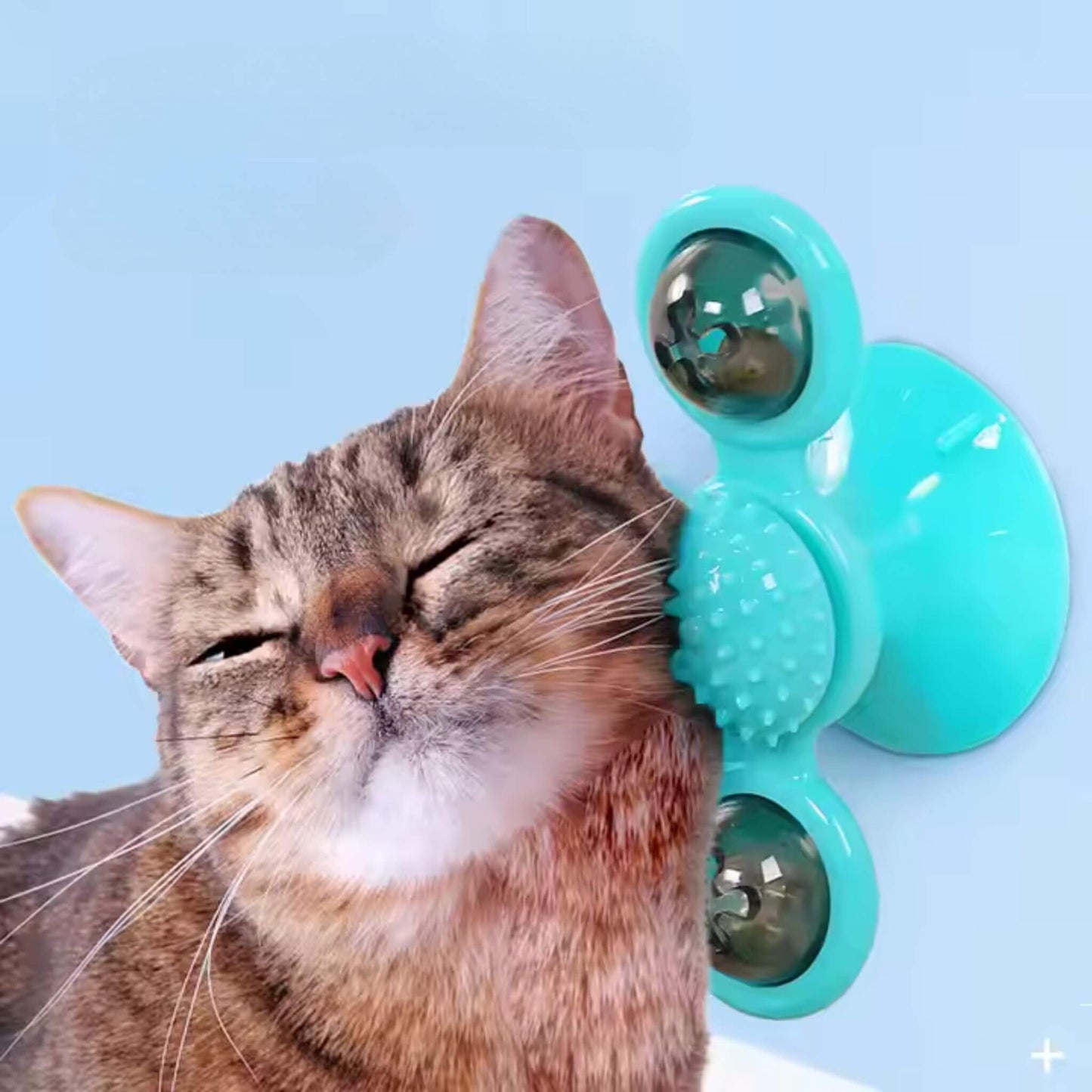 jeu-interactif-chat-massage
