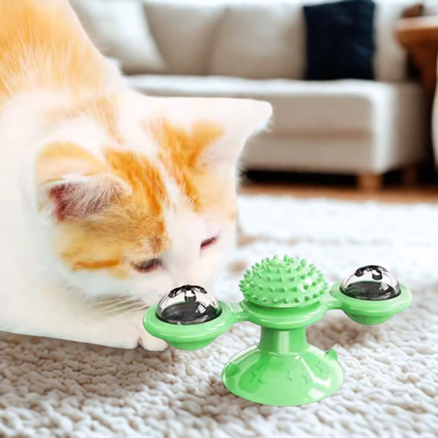 jeu-interactif-chat-vert