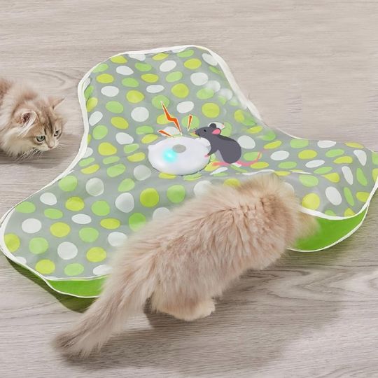 jeu-pour-chat-cache-cache-souris