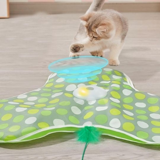 jeu-pour-chat-interactif