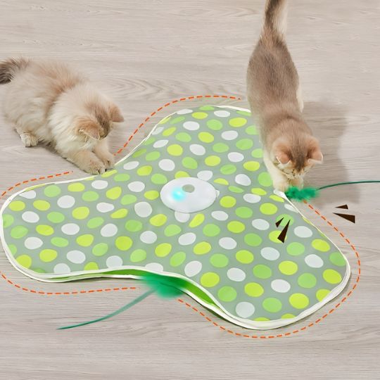 jeu-pour-chat-multichats
