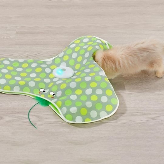 jeu-pour-chat-stimulant
