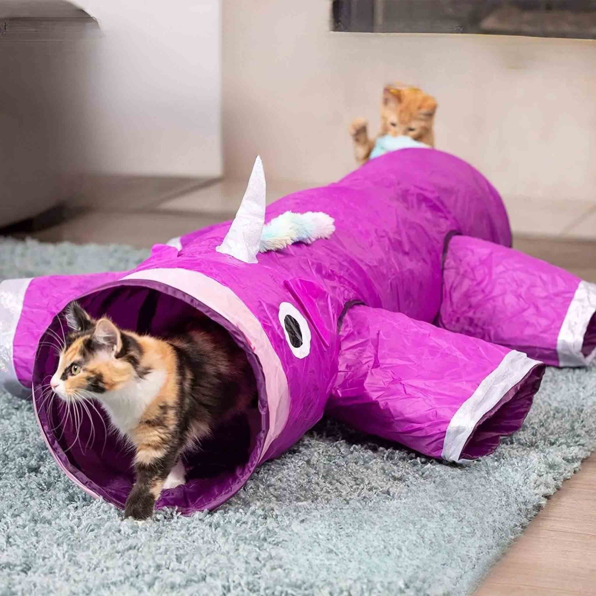 jeu-tunnel-chat-amusant